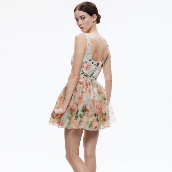 ALICE + OLIVIA 
CHARA MINI DRESS
COLOR Morningside Floral Pistachio
Size 2 
NWT - Picture 4 of 8